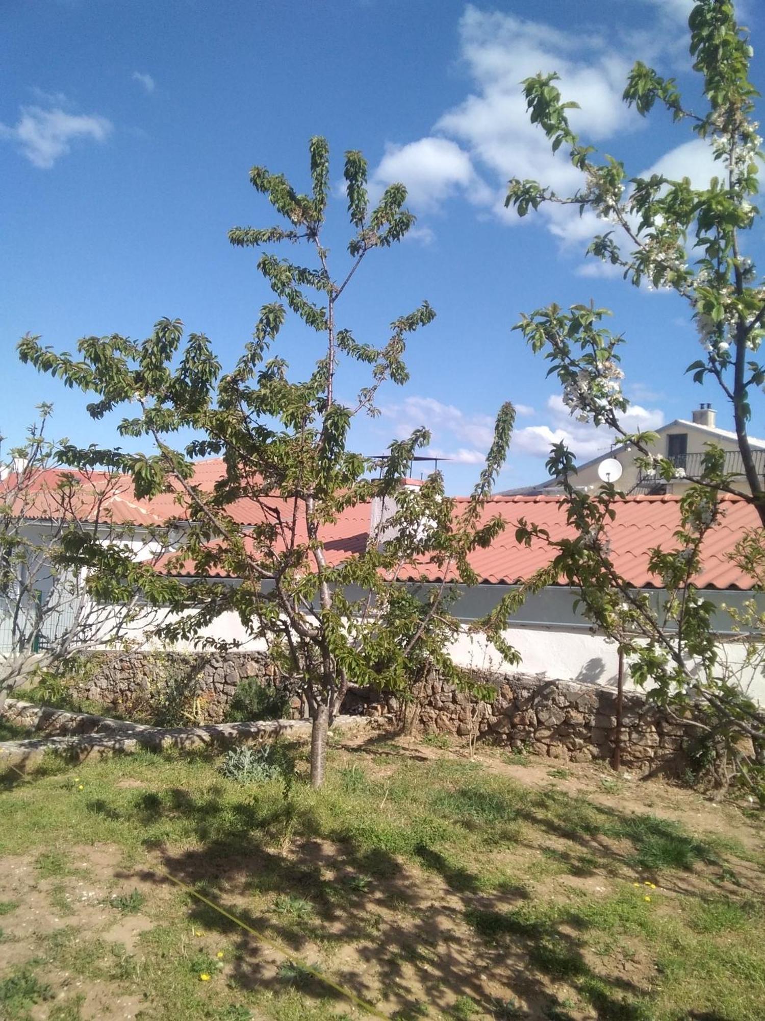 Guesthouse Martina Senj (Lika-Senj) Exterior foto