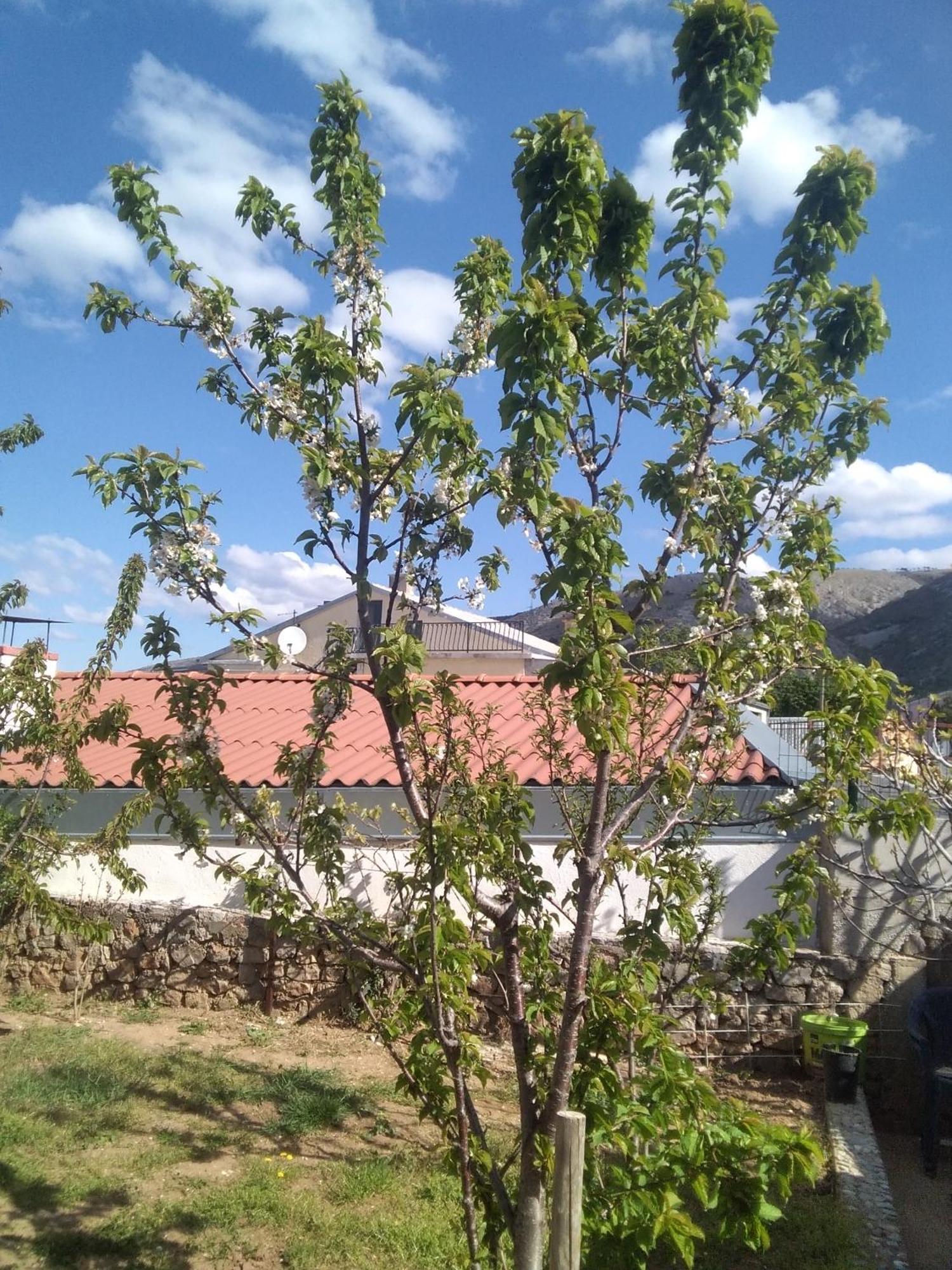 Guesthouse Martina Senj (Lika-Senj) Exterior foto